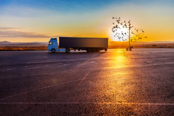 Lorry Transport Management Software | Suvidha Software